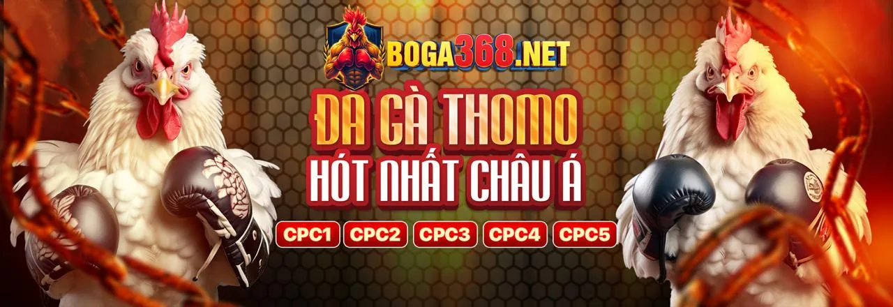 Giao diện ứng dụng vnew88 app trên điện thoại di động